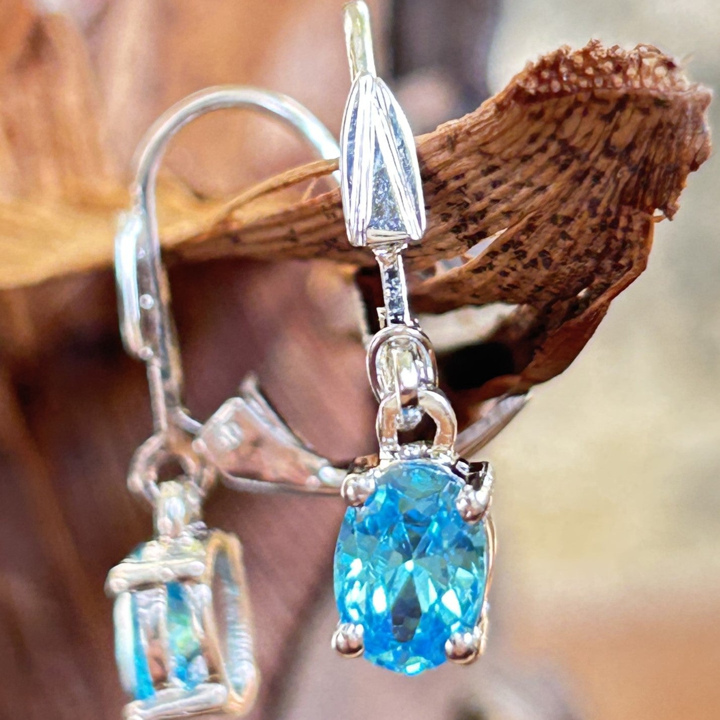 Blue Dangle Earring - Silver Minimal Earring