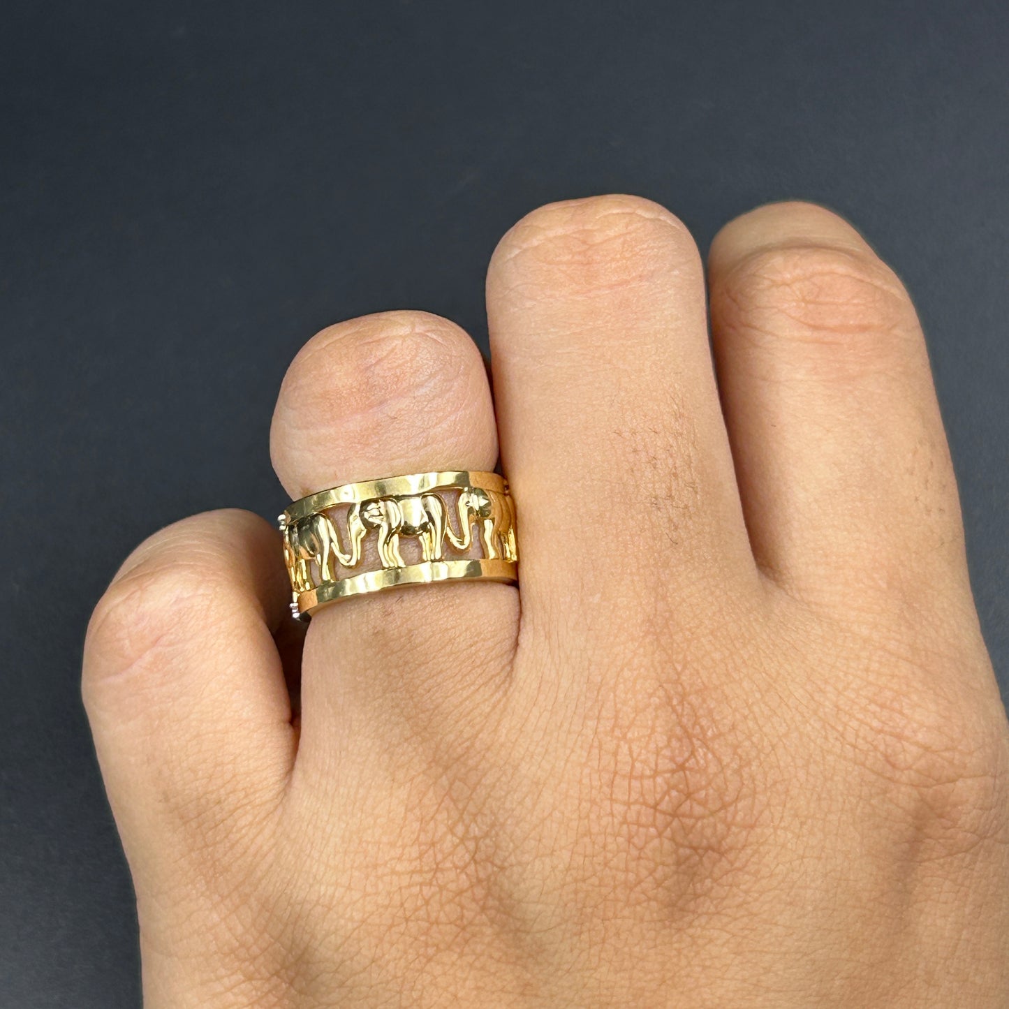 Elephant Diamond Band - Silver Ring