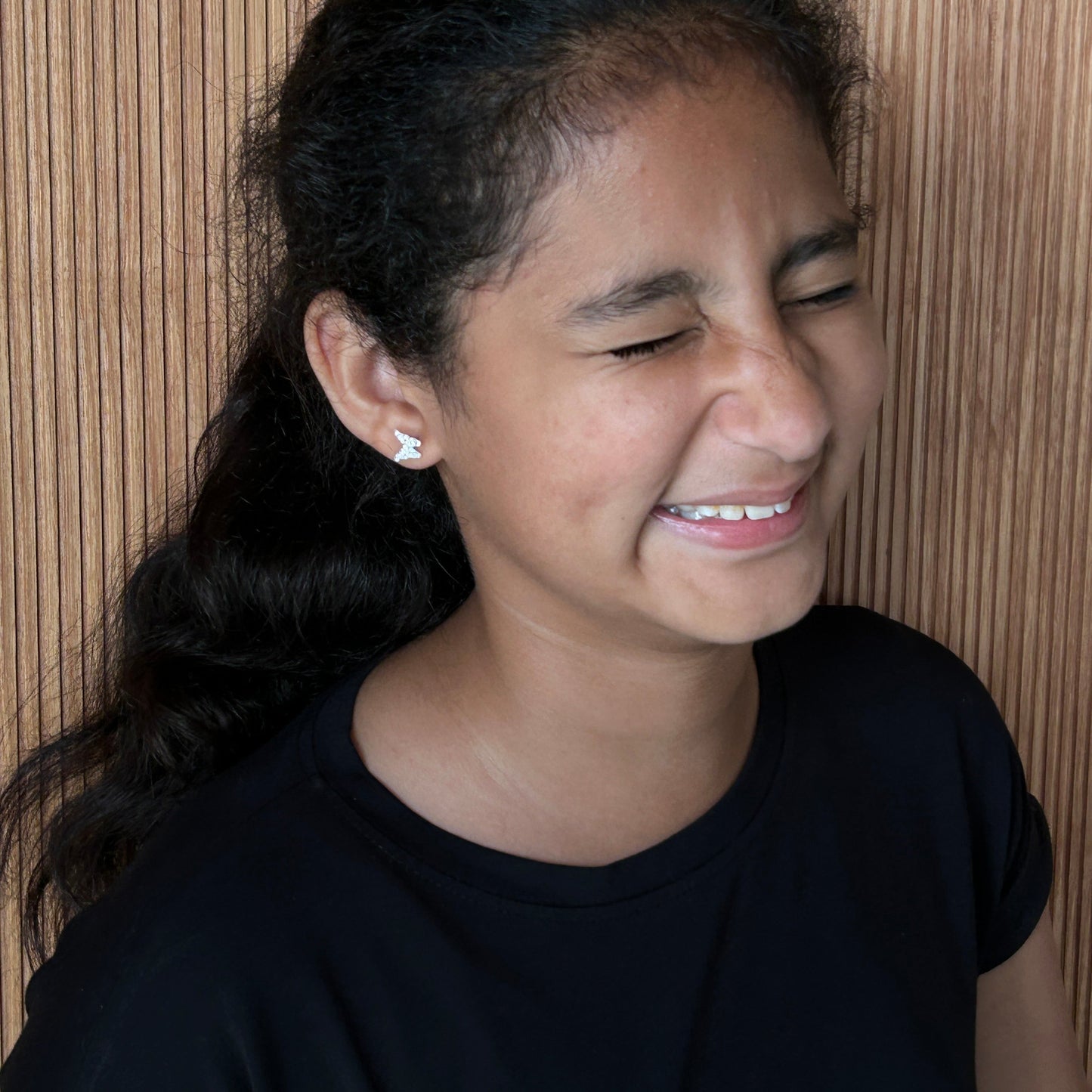 Butterfly Earrings - Silver Stud Earrings